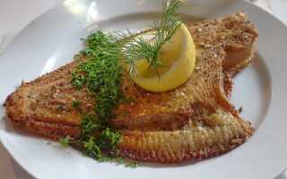 Что и где вкусно поесть в Сочи? Цены на еду