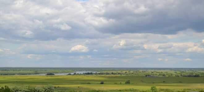 Лучшие детские лагеря Рязанской области