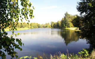 Лучшие детские лагеря Подмосковья