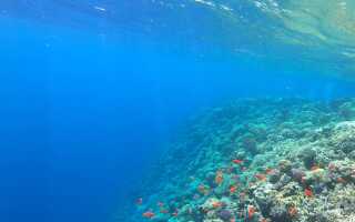 Куда поехать на море зимой — где тепло и недорого