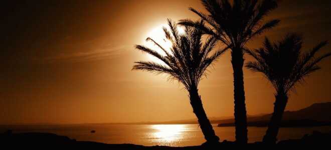 Особенности отдыха в Сома-Бей