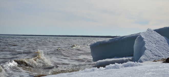 Большое Яровое озеро Алтайского края: информация для путешественника