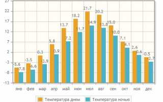 Отдых на Новый год в Санкт-Петербурге, чем заняться?