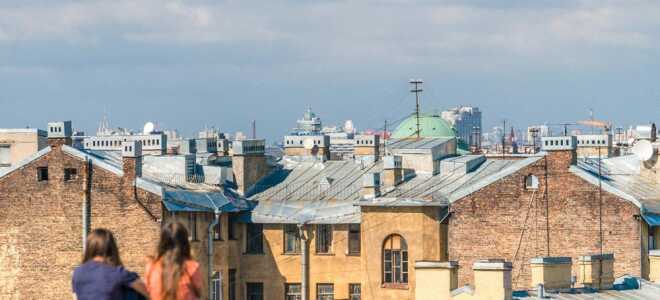 Что привезти из Питера в подарок — сувениры на память