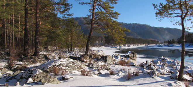 Где отдохнуть зимой с семьей — Финляндия, Болгария, Великий Устюг