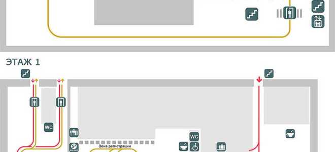 Аэропорт Новосибирска (Толмачево) – как добраться