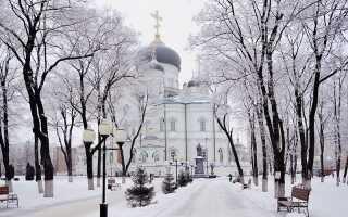 Новогодние каникулы 2022 в Воронеже: все самое интересное