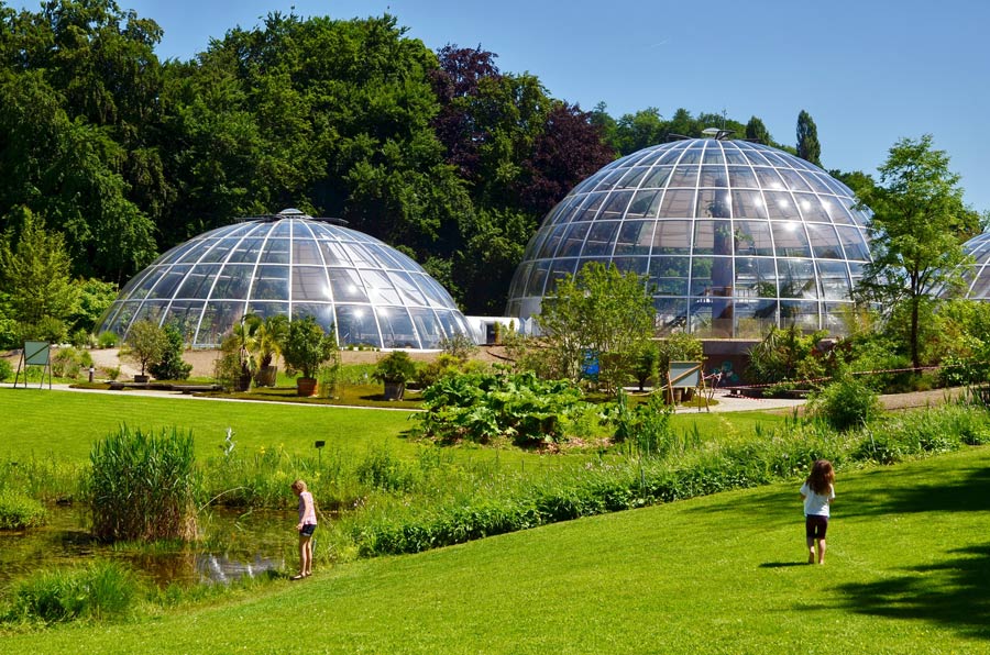 Ботанический сад