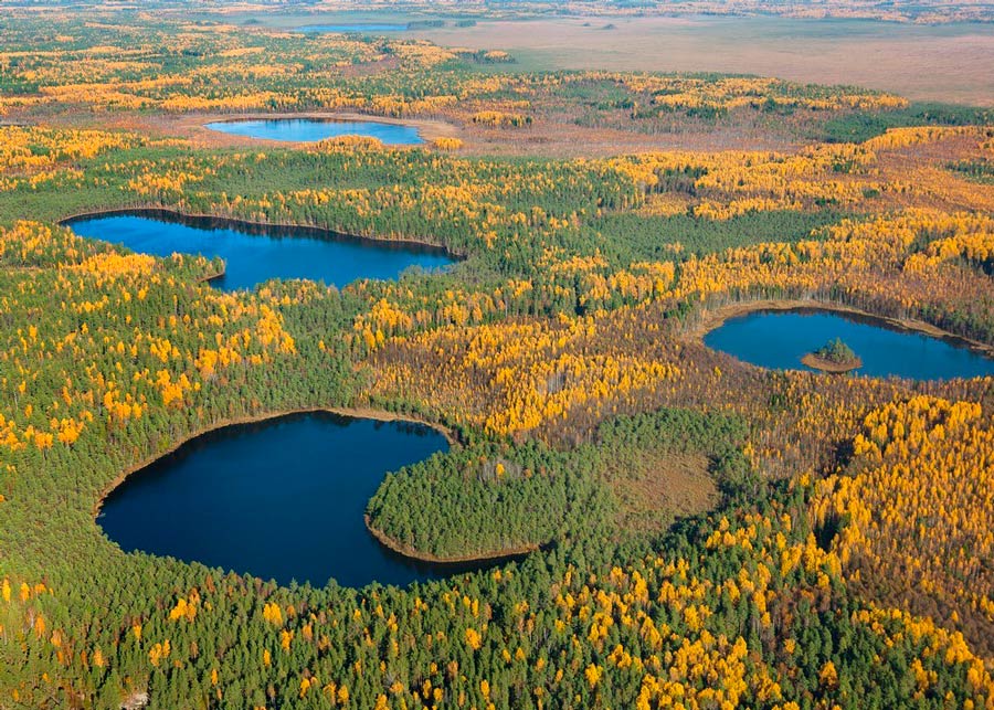 Освейский ландшафтный заказник