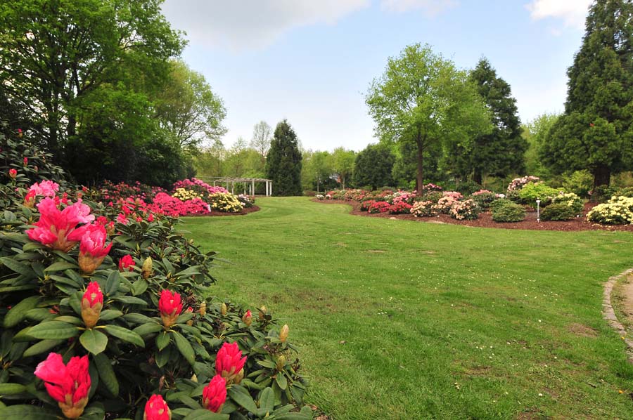 Парк рододендронов