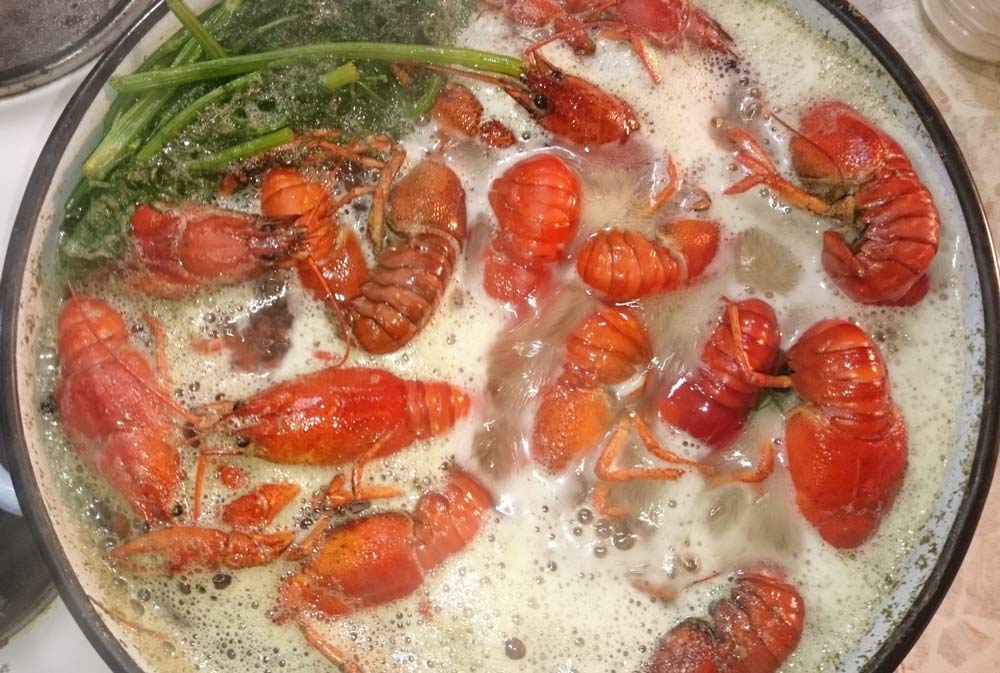 вареные раки