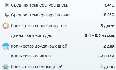 Отдых в Вене на Новый год