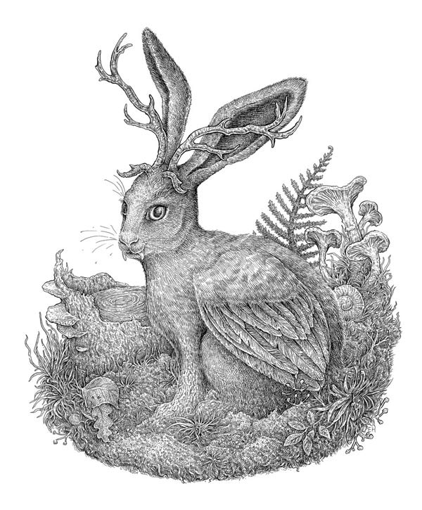 рогатый заяц