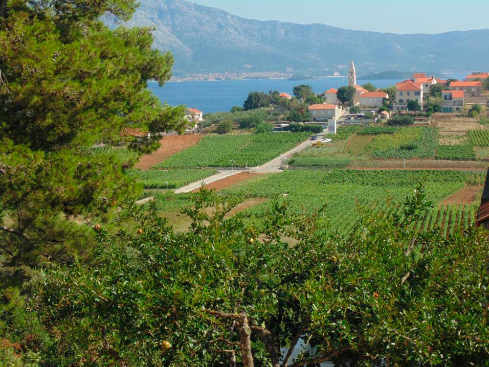 Villa Apartments Mate Cebalo